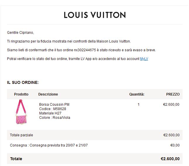 louis vuitton coussin